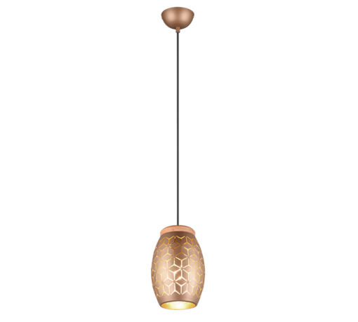 Κρεμαστό Φωτιστικό Trio Lighting 1xE27 Καφέ Χρώματος – R31571065