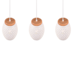 Κρεμαστό Φωτιστικό Trio Lighting 3xE27 Λευκού Χρώματος – R31573031
