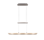 Κρεμαστό Φωτιστικό Trio Lighting LED 5W 3000K Νικελ Χρώματος – R32004107