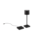 Επιτραπέζιο Φωτιστικό Trio Lighting LED 1.5W Επαναφορτιζόμενο USB Step Dimmable Μαύρου Χρώματος  – R54096132