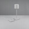 Επαναφορτιζόμενο Πορτατιφ Γκρι FERNANDEZ LED 1.5W 130lm CCT Dimmable Αφής με Ασύρματη Βάση Φόρτισης IP54 Reality – R54096177