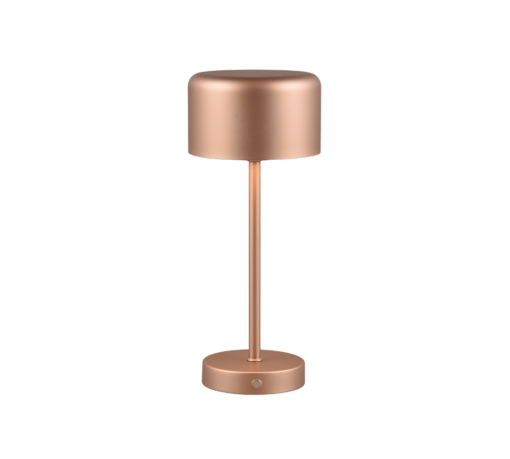 Επιτραπέζιο Φωτιστικό Trio Lighting LED 1.5W 3000K Καφέ Χρώματος Επαναφορτιζόμενο Step Dimmable – R59151165