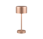 Επιτραπέζιο Φωτιστικό Trio Lighting LED 1.5W 3000K Καφέ Χρώματος Επαναφορτιζόμενο Step Dimmable – R59151165