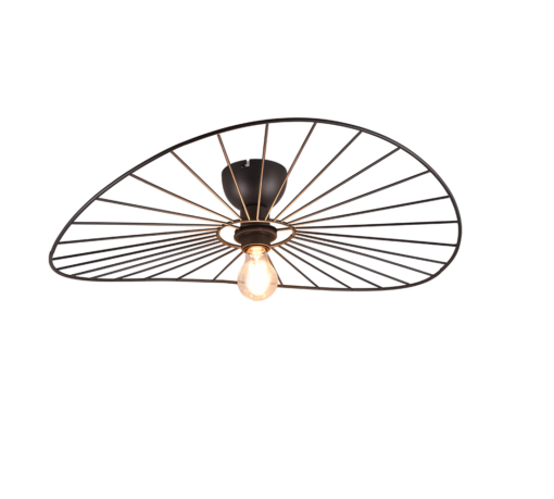 Φωτιστικό Οροφής Trio Lighting 1xE27 Μαύρου Χρώματος – R61451032