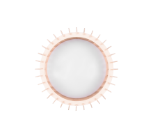 Φωτιστικό Οροφής Reality  LED 16,5W Λευκό Πλαστικό Step Dimmable 2200lm  3000K – R62171130