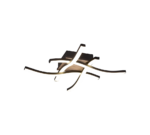 Φωτιστικό Οροφής Trio Lighting LED 5W 3000K Χρώματος Ξύλου – R62474135