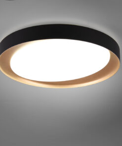 Φωτιστικό Οροφής Reality LED 24W  Μαύρο Πλαστικό Dimmable 2000lm 2700 – 6500K  R62712402