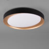 Φωτιστικό Οροφής Reality LED 24W  Μαύρο Πλαστικό Dimmable 2000lm 2700 – 6500K  R62712402
