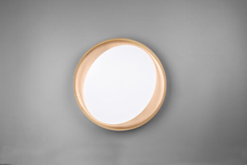 Φωτιστικό Οροφής Reality LED 24W  Μαύρο Πλαστικό Dimmable 2000lm 2700 – 6500K  R62712402