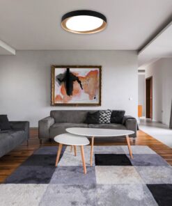 Φωτιστικό Οροφής Reality LED 24W  Μαύρο Πλαστικό Dimmable 2000lm 2700 – 6500K  R62712402