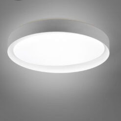Φωτιστικό Οροφής Reality LED 24W  Γκρι Πλαστικό Dimmable 2000lm 2700 – 6500K  R62712411