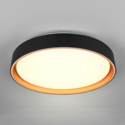Φωτιστικό Οροφής Reality LED 24W 2500lm CCT Dimmable Με Χειριστήριο Χρυσό Μαύρο – R64391080