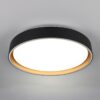 Φωτιστικό Οροφής Reality LED 24W 2500lm CCT Dimmable Με Χειριστήριο Χρυσό Μαύρο – R64391080