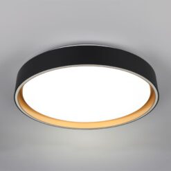 Φωτιστικό Οροφής Reality LED 24W 2500lm CCT Dimmable Με Χειριστήριο Χρυσό Μαύρο – R64391080