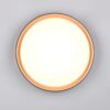 Φωτιστικό Οροφής Reality LED 24W 2500lm CCT Dimmable Με Χειριστήριο Χρυσό Μαύρο – R64391080