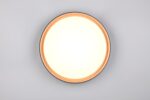 Φωτιστικό Οροφής Reality LED 24W 2500lm CCT Dimmable Με Χειριστήριο Χρυσό Μαύρο – R64391080