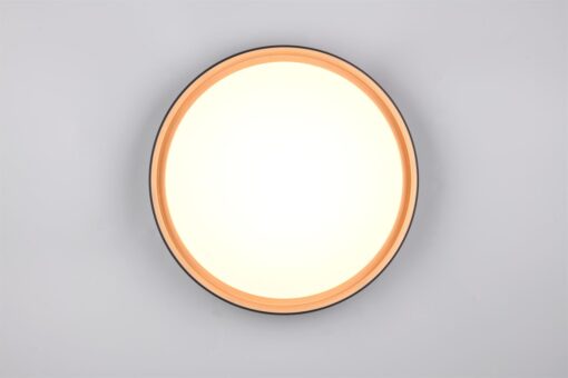 Φωτιστικό Οροφής Reality LED 24W 2500lm CCT Dimmable Με Χειριστήριο Χρυσό Μαύρο – R64391080
