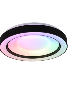 Φωτιστικό Οροφής Reality  LED 22W Μαύρο Ματ Πλαστικό Τηλεχειριζόμενο Dimmable 2500lm  2700 – 6000K – R65091032