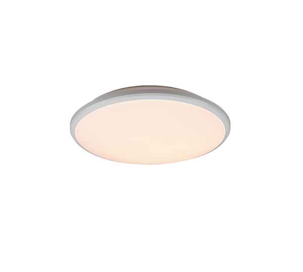 Φωτιστικό Οροφής Reality LED  20,5W Λευκό Ματ Πλαστικό Step Dimmable 2400lm  4000K – R67021131