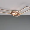Φωτιστικό Οροφής Reality LED 30W 2700K Καφέ Χρώματος Step Dimmable – R67183165