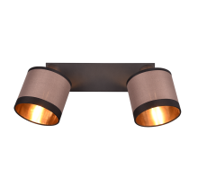 Επιτοίχιο Φωτιστικό Trio Lighting 2xE14 Καφε Χρώματος – R81552041