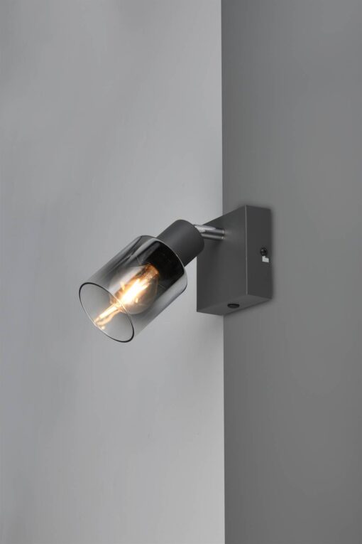 Φωτιστικό Τοίχου/Οροφής με Περιστρεφόμενο Ανθρακί Γυάλινο Σποτ CADIZ 1xE14 Reality – R81781042