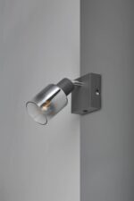 Φωτιστικό Τοίχου/Οροφής με Περιστρεφόμενο Ανθρακί Γυάλινο Σποτ CADIZ 1xE14 Reality – R81781042