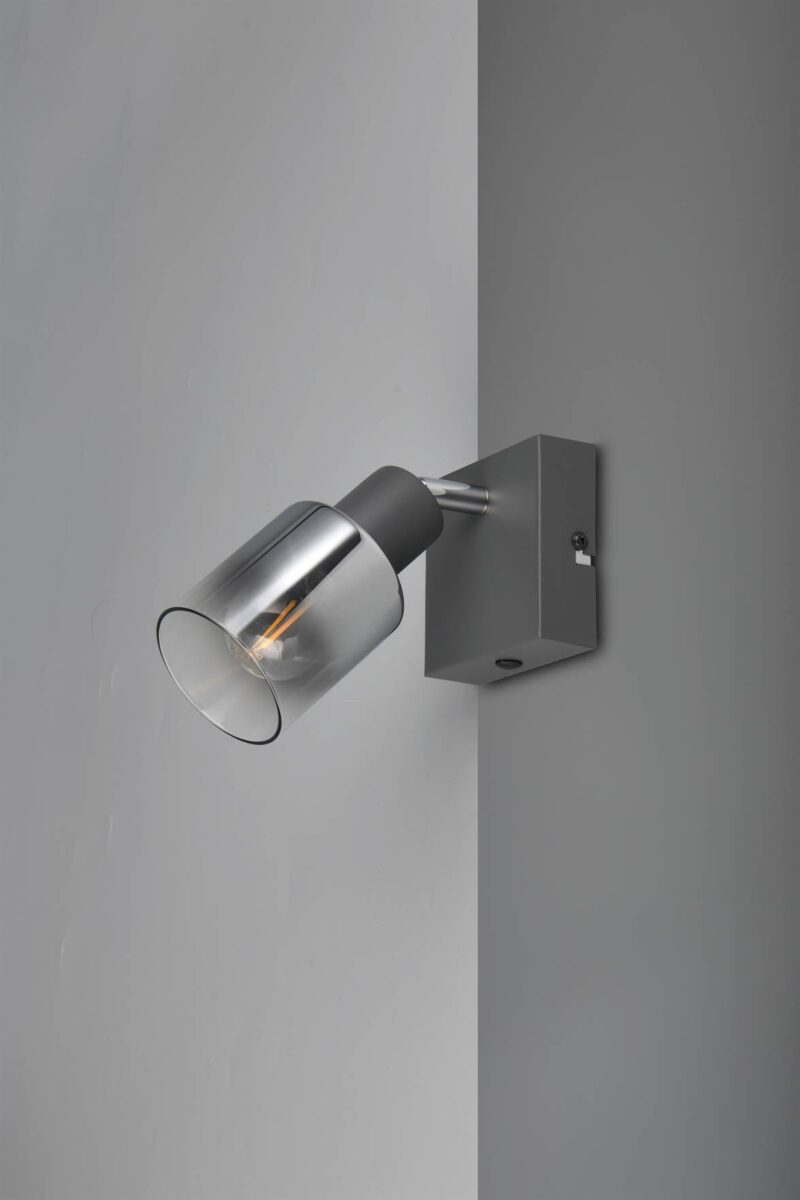 Φωτιστικό Τοίχου/Οροφής με Περιστρεφόμενο Ανθρακί Γυάλινο Σποτ CADIZ 1xE14 Reality – R81781042