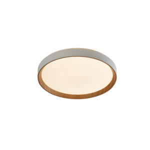 Sun Light ΟΡΟΦΗΣ ΦΩΤΙΣΤΙΚΟ LED-ΠΛΑΦΟΝΙΕΡΑ-ΚΩΔ. ROBLE-500-W