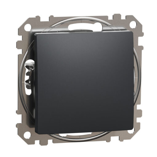 Schneider Sedna Design μπουτόν Ανθρακί – SDD114111