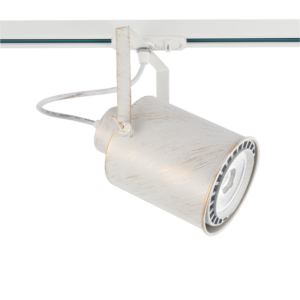 ΦΩΤΙΣΤΙΚΟ ΣΠΟΤ ΡΑΓΑΣ ΜΟΝΟΦΑΣΙΚΟ 2 ΚΑΛΩΔΙΩΝ ΣΕ WHITE GOLD BRUSHED 1X E27 PAR 30 ACA – TS13PAR3CWG