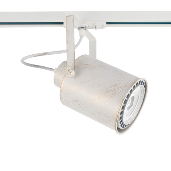 ΦΩΤΙΣΤΙΚΟ ΣΠΟΤ ΡΑΓΑΣ ΜΟΝΟΦΑΣΙΚΟ 2 ΚΑΛΩΔΙΩΝ ΣΕ WHITE GOLD BRUSHED 1X E27 PAR 30 ACA – TS13PAR3CWG