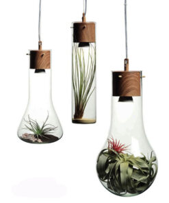 Κρεμαστό Φωτιστικό 1ΧGU10 Μέταλλο Απόχρωση Ξύλο + Γυαλί Φ100 ACA DECOR   – V110TR