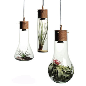 Κρεμαστό Φωτιστικό 1ΧGU10 Μέταλλο Απόχρωση Ξύλο + Γυαλί Φ100 ACA DECOR   – V110TR