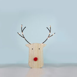 WOODEN REINDER HEAD 10 ΜΙΝΙ LED WW ΛΑΜΠΑΚΙΑ ΜΠ/ΡΙΕΣ (2ΑΑ) IP20 17X3X18CM ACA – X05101101