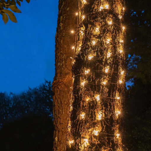 50 ΛΑΜΠΑΚΙΑ LED ΔΙΧΤΥ ΘΕΡΜΟ ΛΕΥΚΟ ΑΝΤΑΠΤ 24VDC&ΕΠΕΚΤ MAX 12ΣΕΤ IP44 55x80cm ΠΡΑΣ ΚΑΛΩΔ & 5 ΑΓΓΙΣΤΡΑ ACA – X0850111