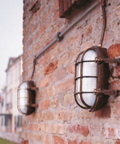 Χελώνες Τοίχου