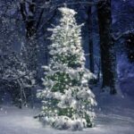 350 LED ΧΤΑΠΟΔΙ ΛΑΜΠ 10 ΣΕΙΡΕΣ x 35 ΛΑΜΠ CW ΑΝΤΑΠΤ (31VDC) IP44 10*350cm & 3m ΠΡΑΣ ΚΑΛΩΔ ACA – X08350211