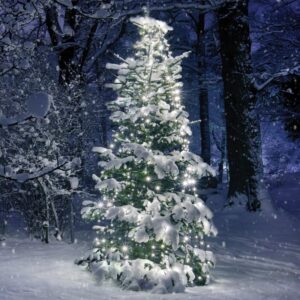 350 LED ΧΤΑΠΟΔΙ ΛΑΜΠ 10 ΣΕΙΡΕΣ x 35 ΛΑΜΠ CW ΑΝΤΑΠΤ (31VDC) IP44 10*350cm & 3m ΠΡΑΣ ΚΑΛΩΔ ACA – X08350211