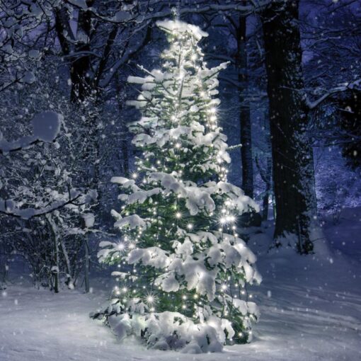 350 LED ΧΤΑΠΟΔΙ ΛΑΜΠ 10 ΣΕΙΡΕΣ x 35 ΛΑΜΠ CW ΑΝΤΑΠΤ (31VDC) IP44 10*350cm & 3m ΠΡΑΣ ΚΑΛΩΔ ACA – X08350211