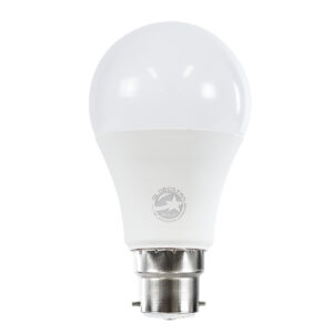 GloboStar® 60051 Λάμπα LED B22 A60 Γλόμπος 10W 1000lm 360° AC 220-240V IP20 Φ6 x Υ11cm Ψυχρό Λευκό 6000K – 3 Χρόνια Εγγύηση