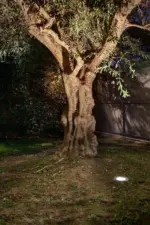 Faro Barcelona SALT Φωτιστικό Αδιάβροχο Δαπέδου με Ασύμετρη Λυχνία COB LED 9W 3000K IP67 – 70591