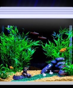 Φωτισμός Ενυδρείου