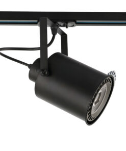 Φωτιστικά Ράγας με Λαμπτήρες