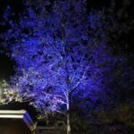 LED Προβολέας 20W ACA Μαύρος 110° Αδιάβροχος IP66 Μπλέ Φως  ACA – Q20B