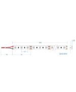 LED Ταινία 14.4W 12V CUBALUX Dimmable 180lm/m Μπλε Αδιάβροχη IP65  5 Μέτρα CL50-0042