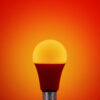 Έξυπνη λάμπα LED A60  2xE27 9,2W + remote control ρυθμιζόμενο λευκό 2700-6500Κ + RGB Lutec Connect – 1-T8731002316