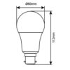 ΛΑΜΠΑ LED SMD Α60 10W Β22 6500K 220-240V 950lm UNIVERSE – 1-U006583