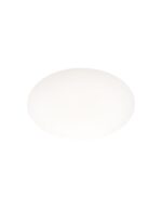 CLIO-1 PARALUME – 1-ID145068