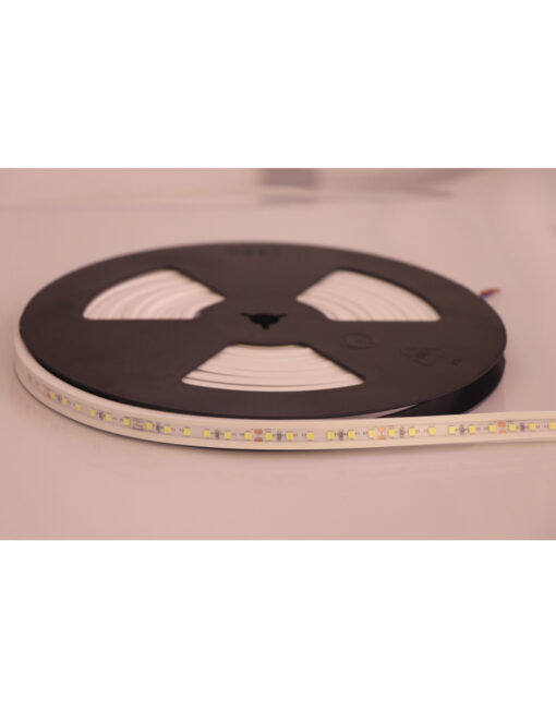 FLAT NEON FLEX LED TAINIA 11W 6000K 24V 1000lm 220° IP65 DIMMABLE 5M UNIVERSE – 2-U011273